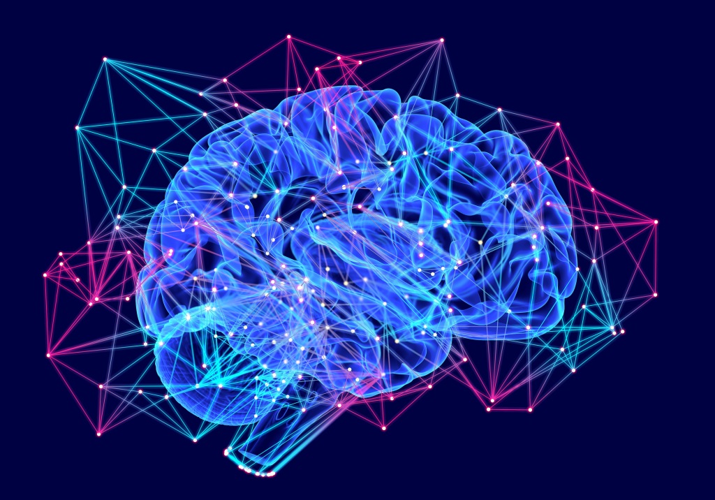 This image has an empty alt attribute; its file name is brain5.jpg